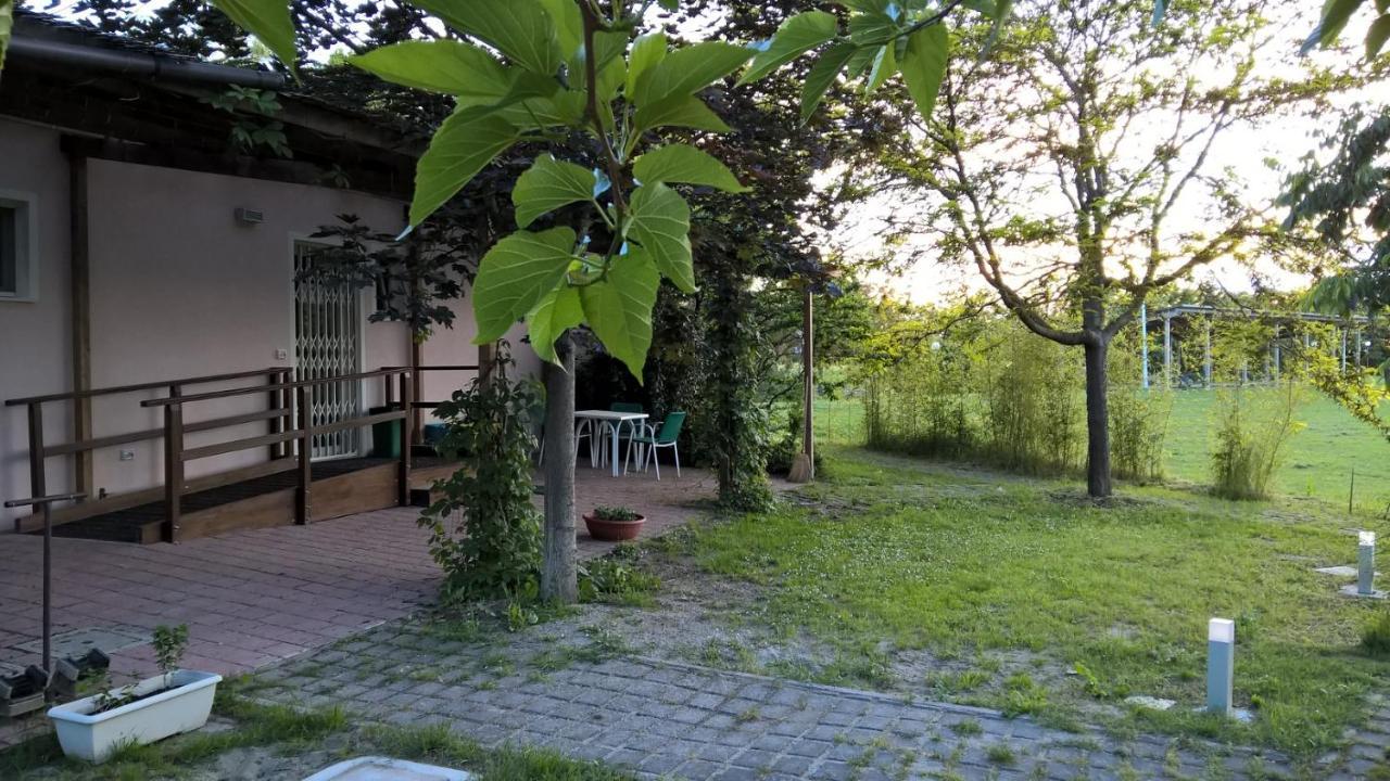 Rose Canine Guest house *