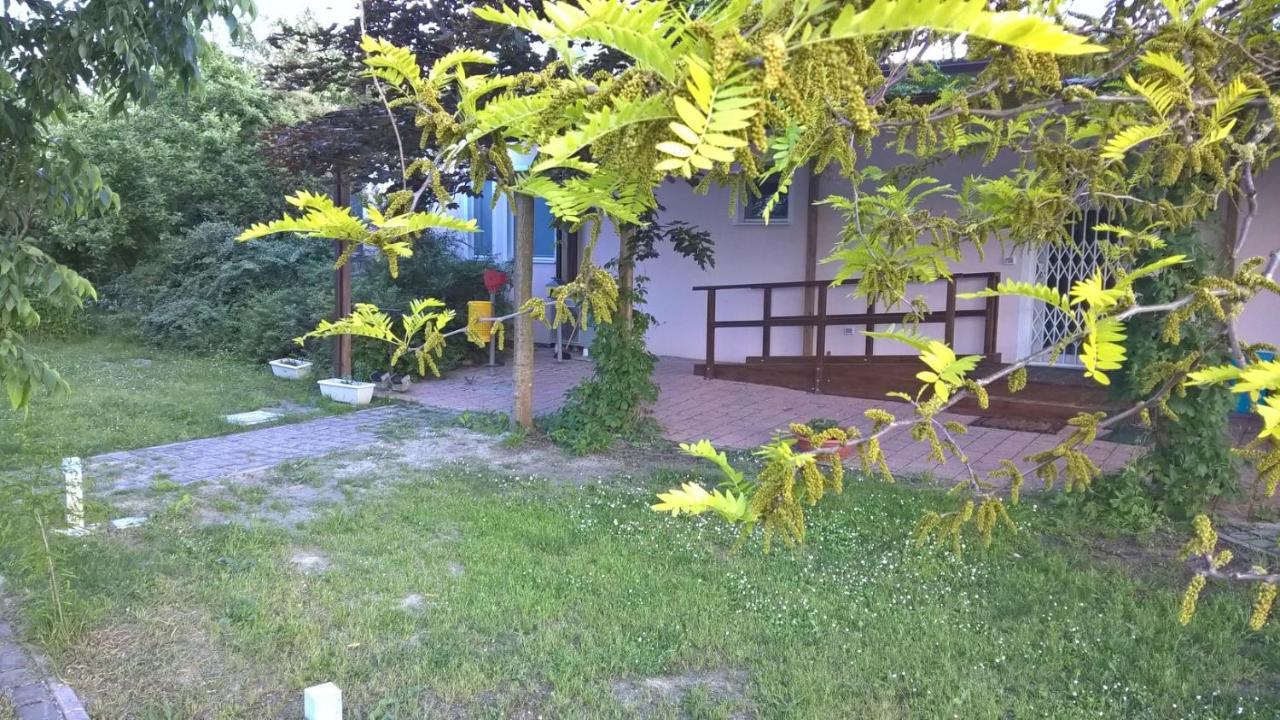 Rose Canine Guest house